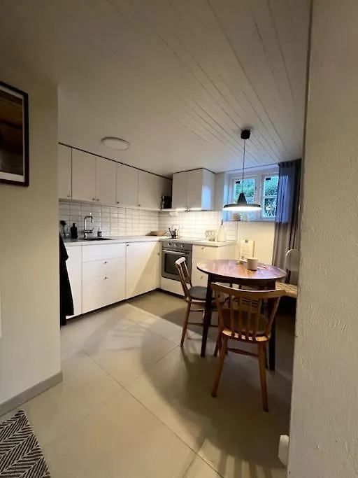 Cozy Studio Apartment In Göteborg